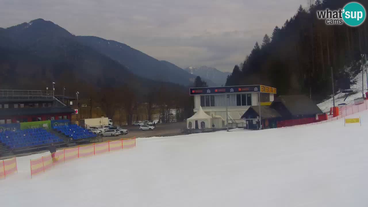 Podkoren slalom géant | Start – Kranjska Gora