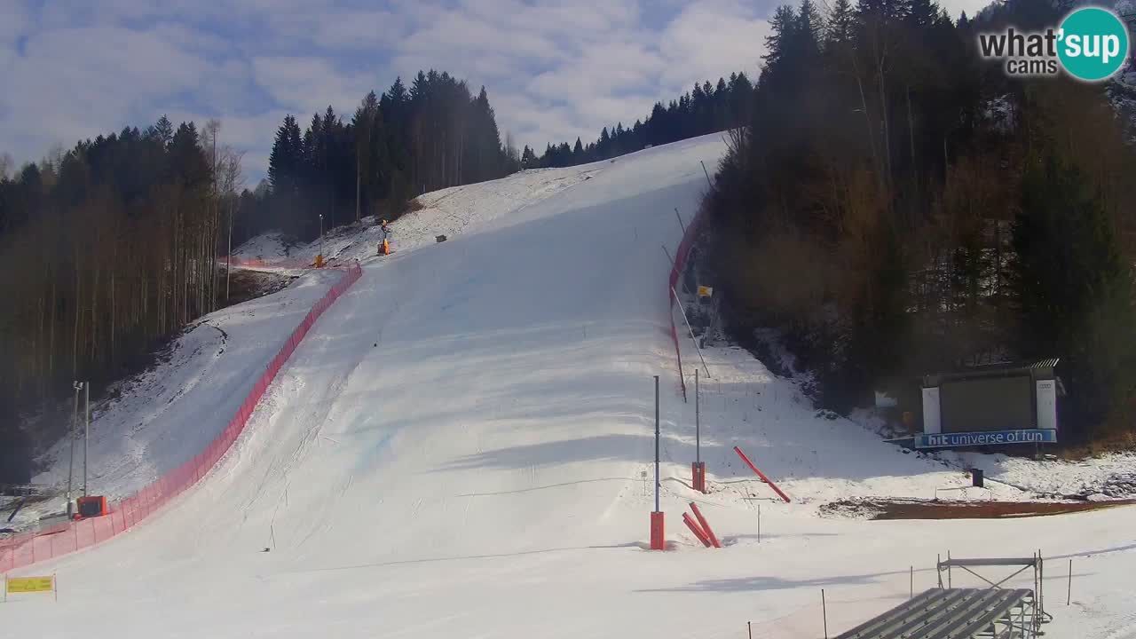 Podkoren / Kranjska Gora – Arrivo slalom gigante