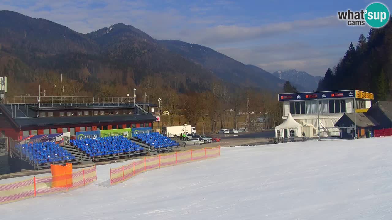 Podkoren / Kranjska Gora – Arrivo slalom gigante