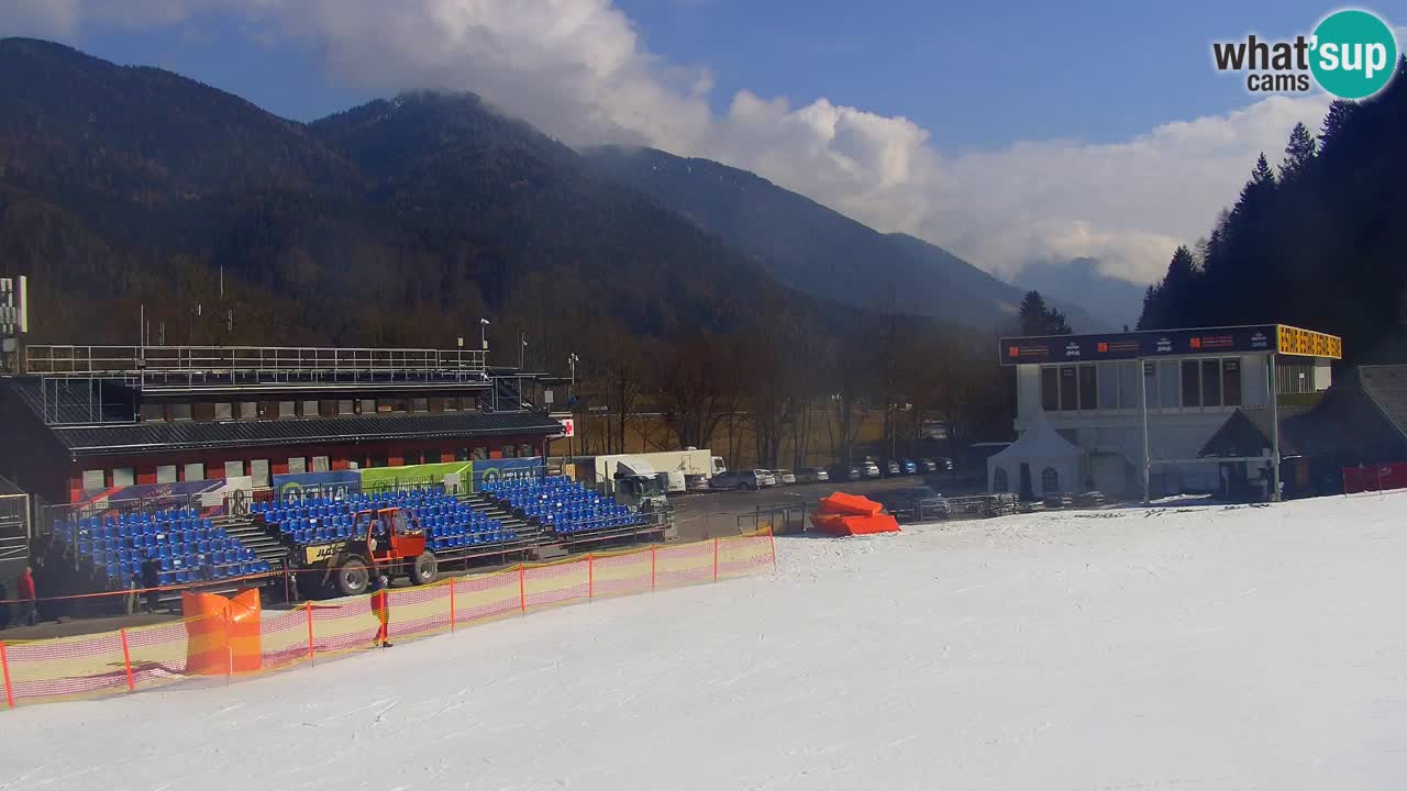 Podkoren Webcam Kranjska Gora | Finish of Giant slalom