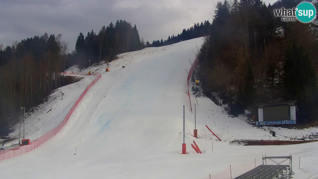 Podkoren Webcam Kranjska Gora | Finish of Giant slalom