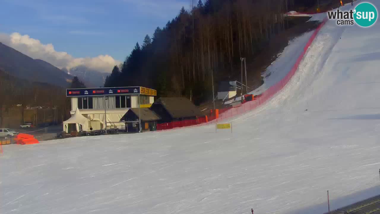 Podkoren / Kranjska Gora –  Meta Slalom gigante