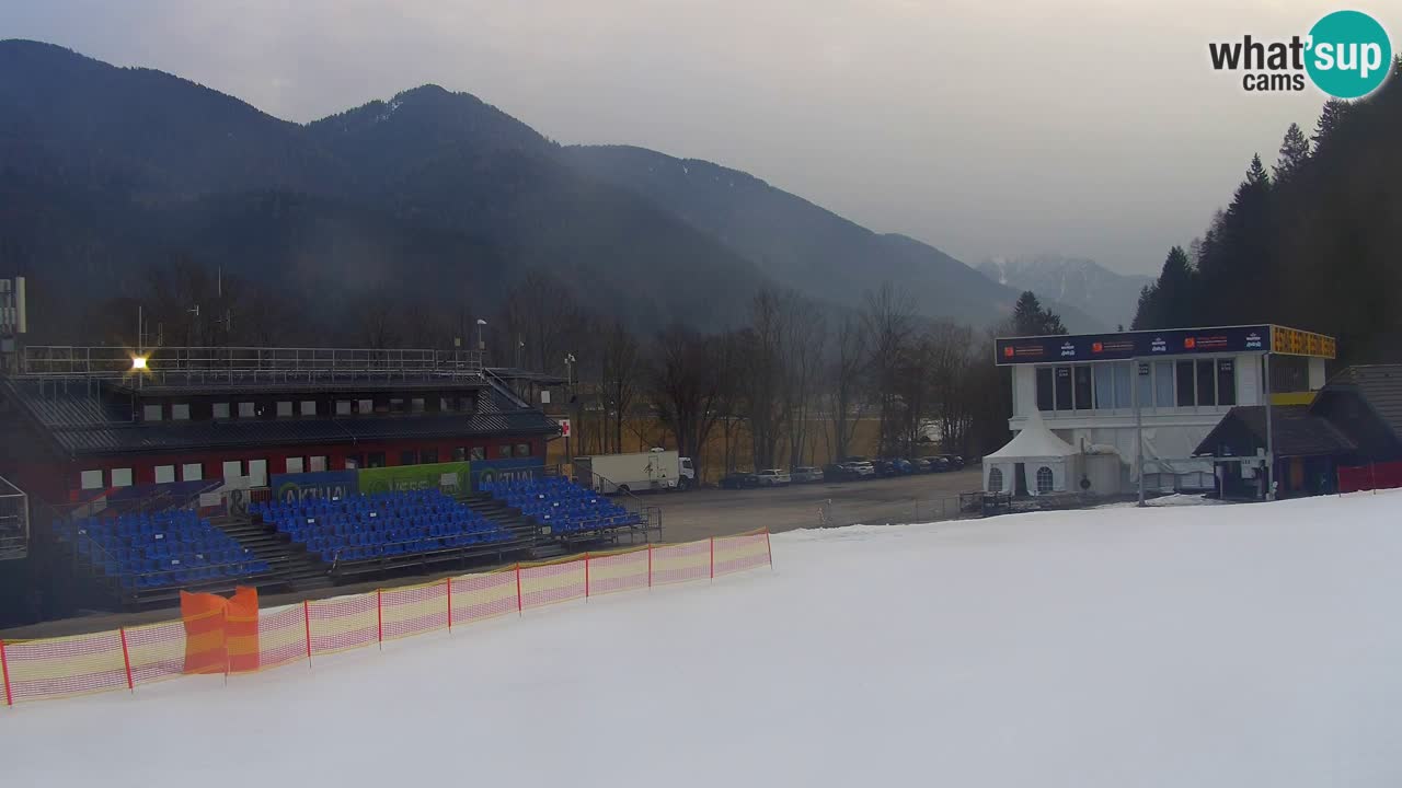 Podkoren / Kranjska Gora – Ziel Riesenslalom