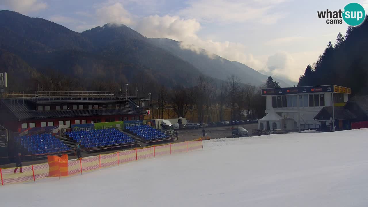 Podkoren / Kranjska Gora – Arrivo slalom gigante