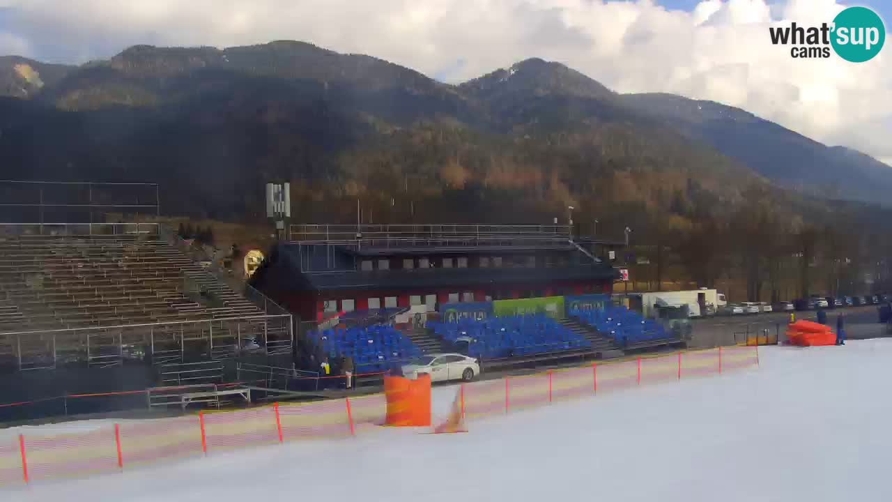 Podkoren slalom géant | Start – Kranjska Gora