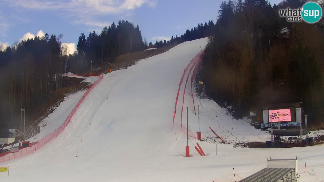 Podkoren / Kranjska Gora –  Meta Slalom gigante