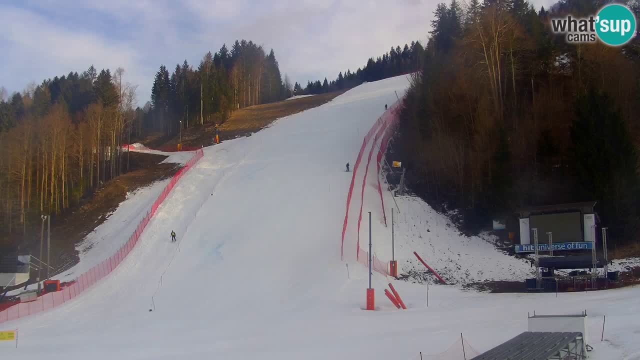 Podkoren / Kranjska Gora –  Meta Slalom gigante