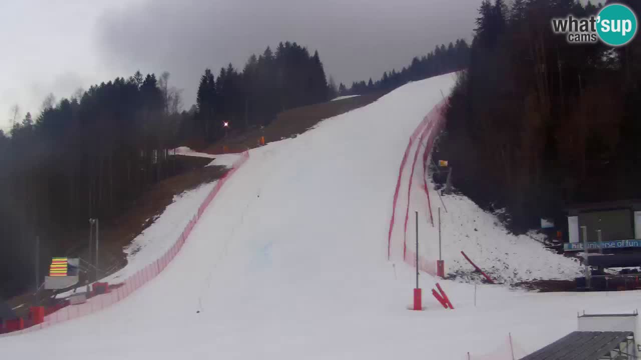 Podkoren / Kranjska Gora – Arrivo slalom gigante