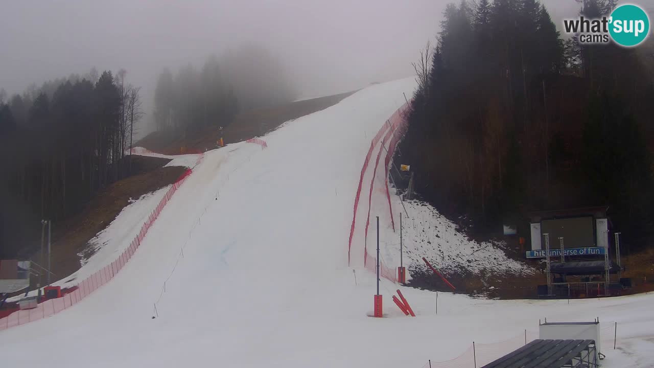 Podkoren / Kranjska Gora – Cilj veleslaloma svjetskog kupa