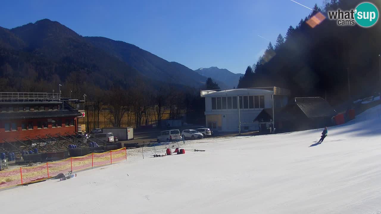 Podkoren / Kranjska Gora – Arrivo slalom gigante