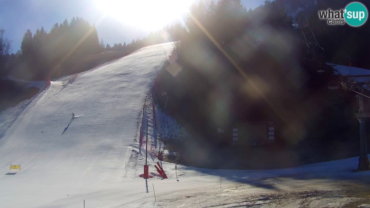 Podkoren / Kranjska Gora – Cilj veleslaloma svjetskog kupa