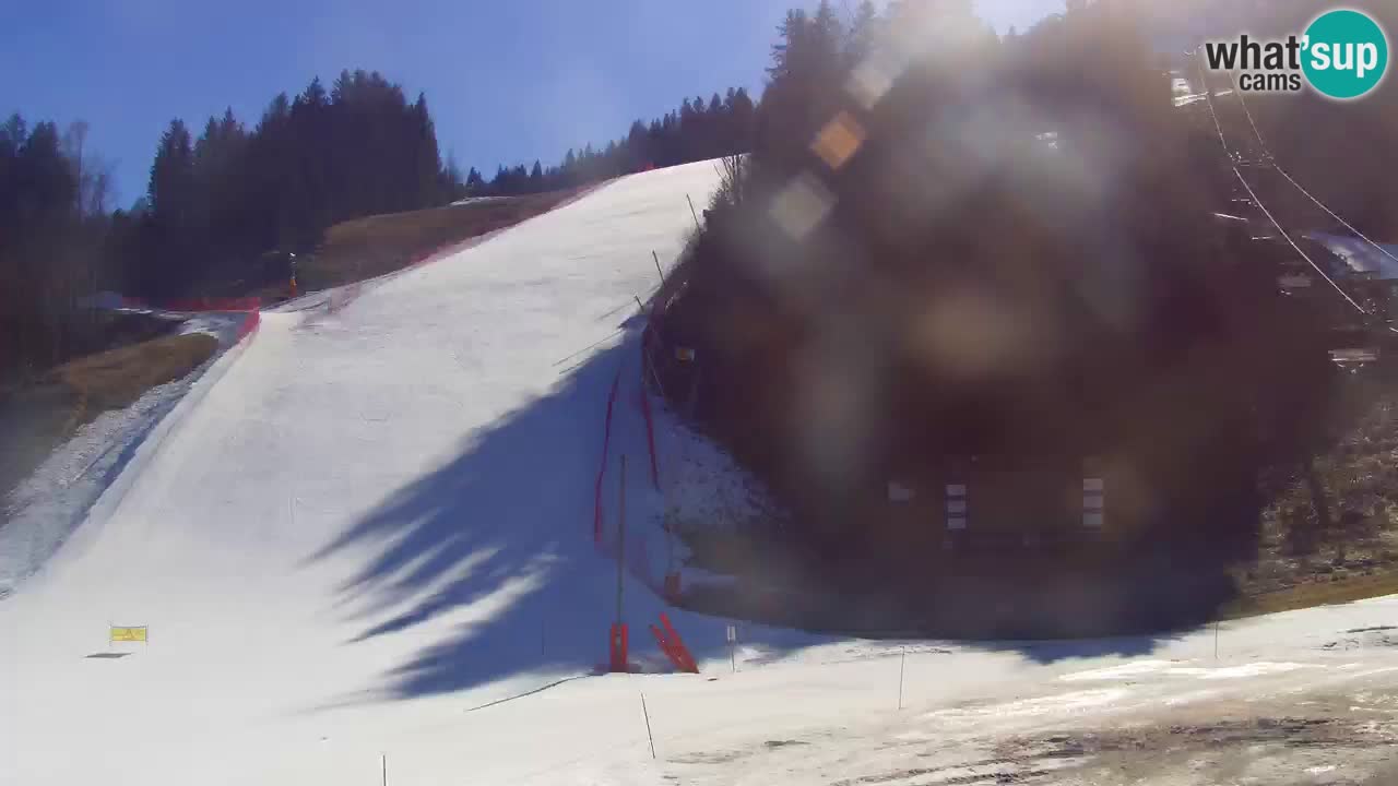 Podkoren / Kranjska Gora – Ziel Riesenslalom