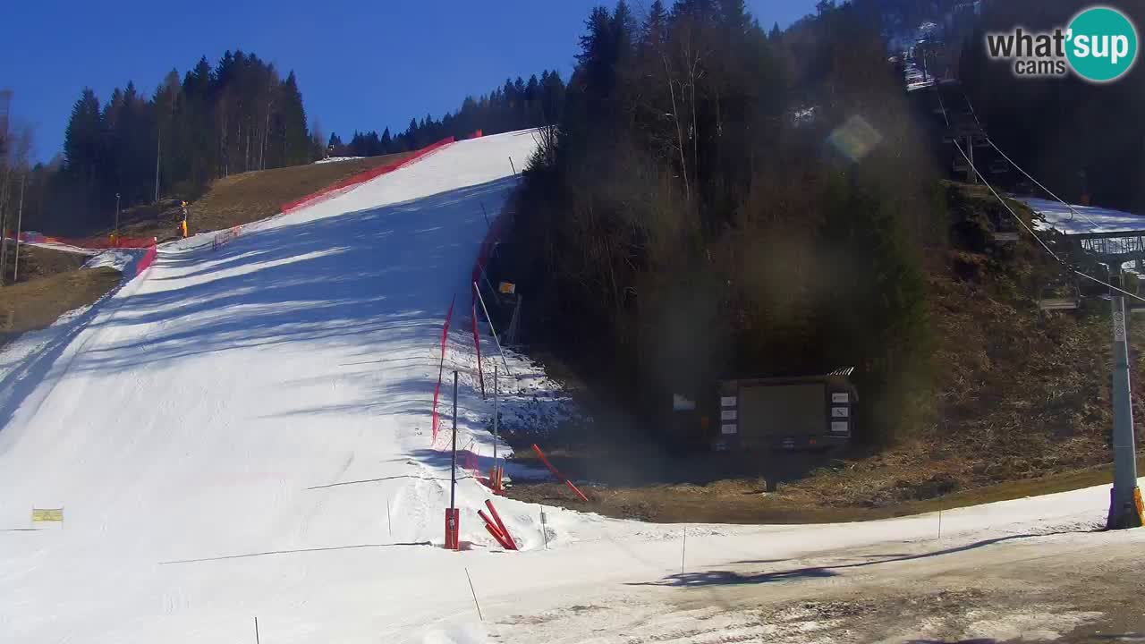 Podkoren / Kranjska Gora – Arrivo slalom gigante