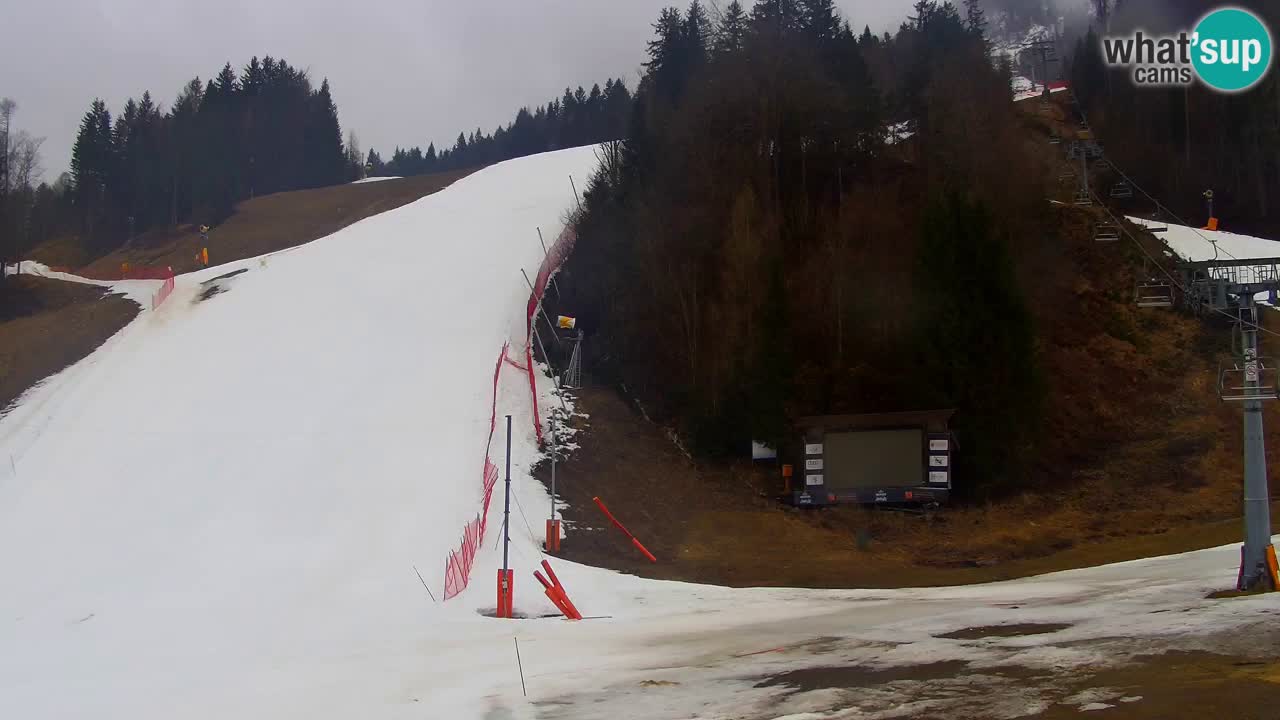 Podkoren Webcam Kranjska Gora | Finish of Giant slalom