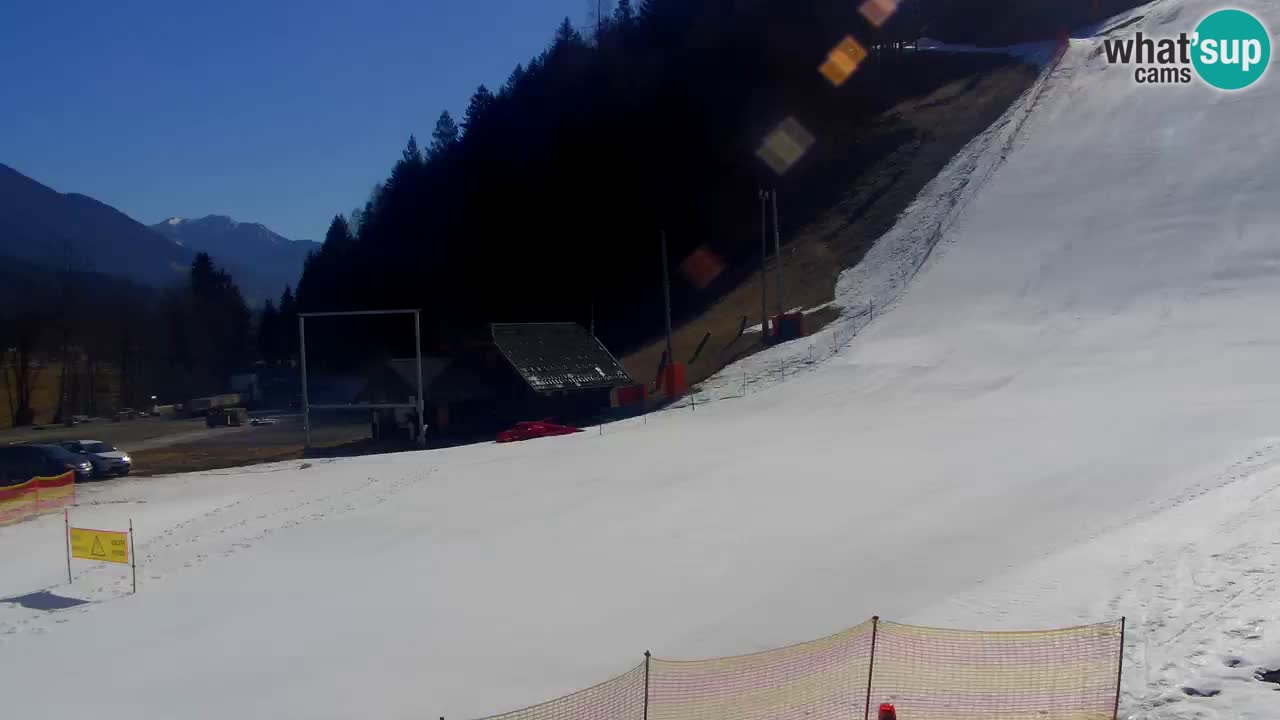 Podkoren Webcam Kranjska Gora | Finish of Giant slalom