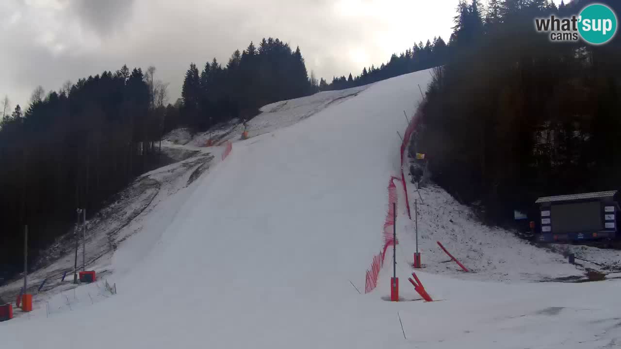 Podkoren slalom géant | Start – Kranjska Gora