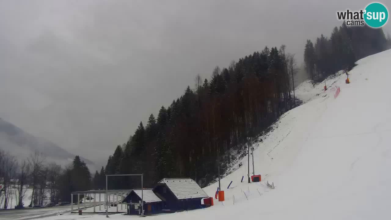 Podkoren Webcam Kranjska Gora | Finish of Giant slalom