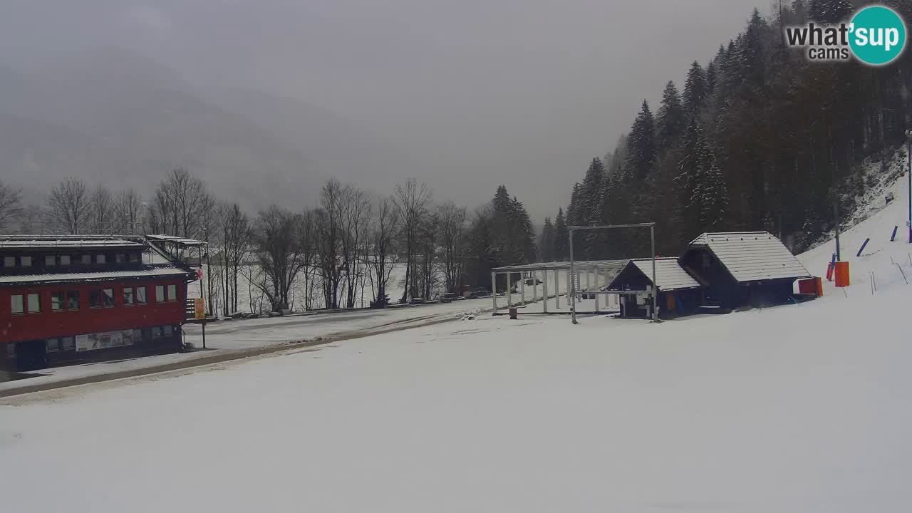 Podkoren / Kranjska Gora – Arrivee slalom géant