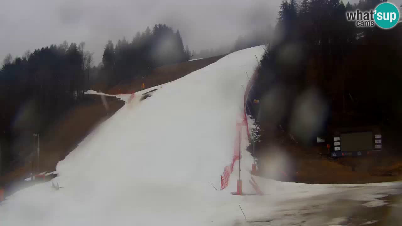 Podkoren Webcam Kranjska Gora | Finish of Giant slalom