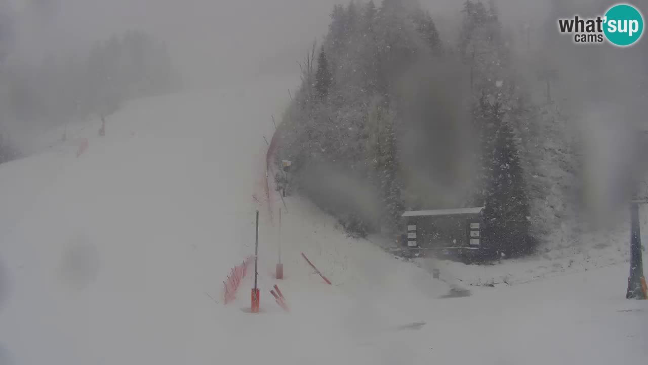 Podkoren Webcam Kranjska Gora | Finish of Giant slalom