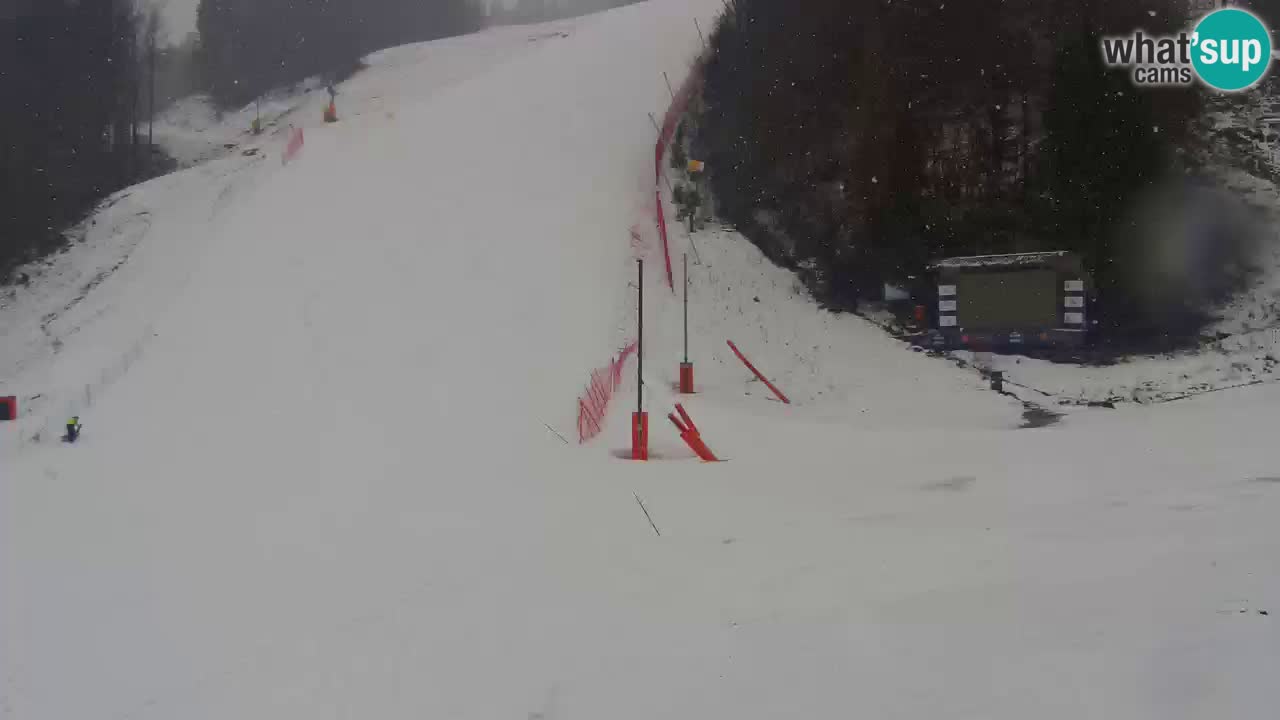 Podkoren Webcam Kranjska Gora | Finish of Giant slalom