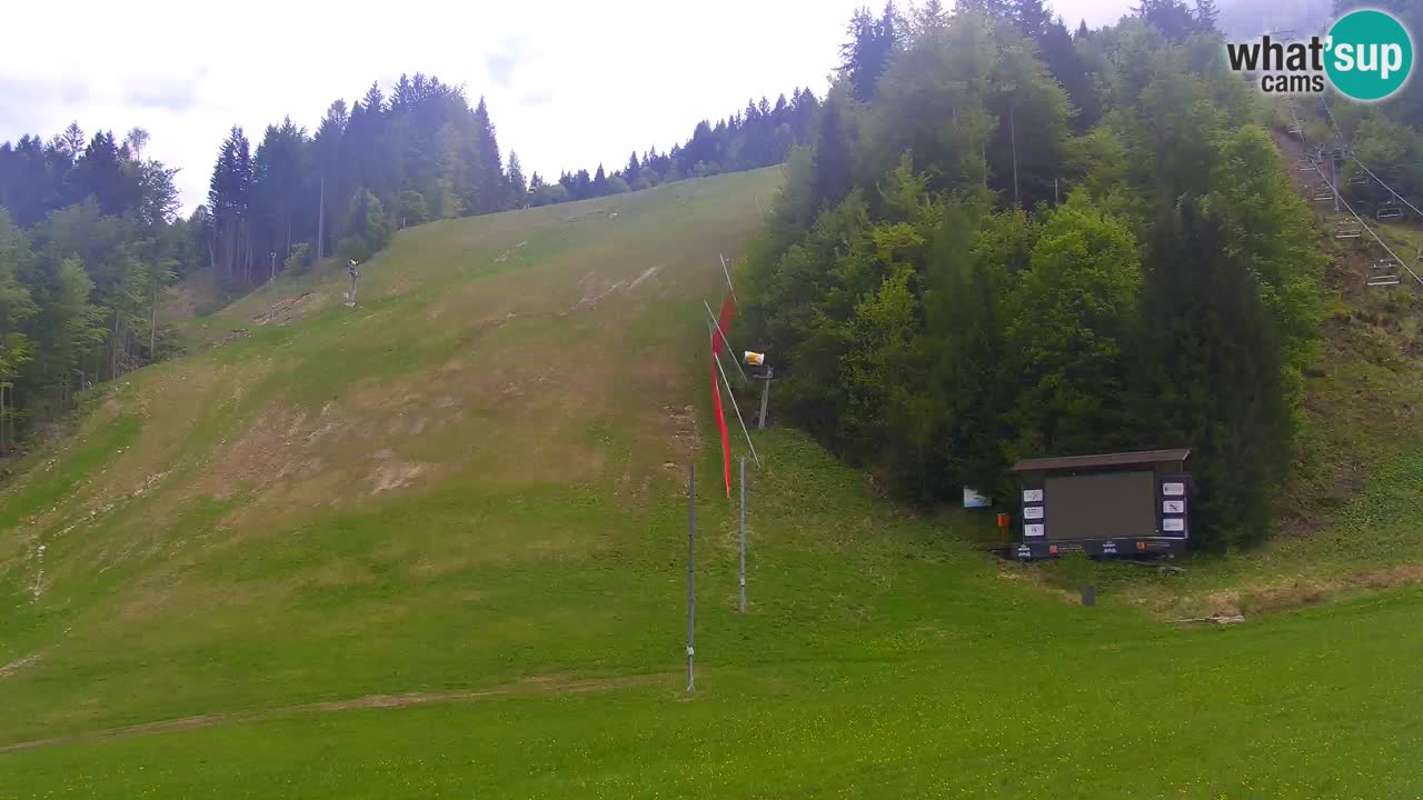 Podkoren / Kranjska Gora –  Meta Slalom gigante