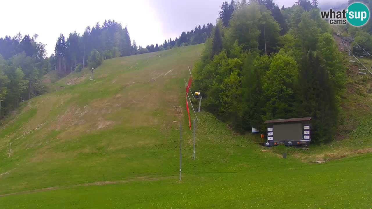 Podkoren Webcam Kranjska Gora | Finish of Giant slalom