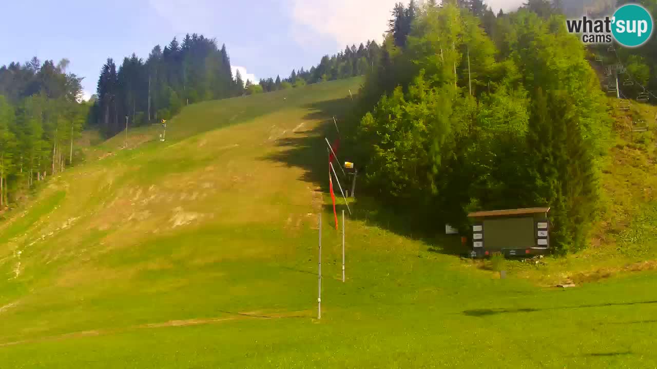 Podkoren Webcam Kranjska Gora | Finish of Giant slalom