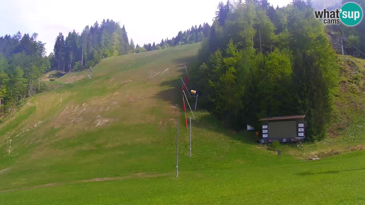 Podkoren / Kranjska Gora – Cilj veleslaloma svjetskog kupa