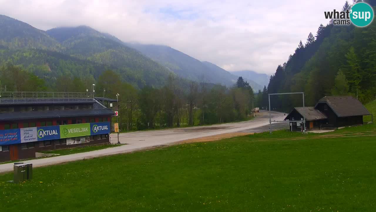 Podkoren Webcam Kranjska Gora | Finish of Giant slalom