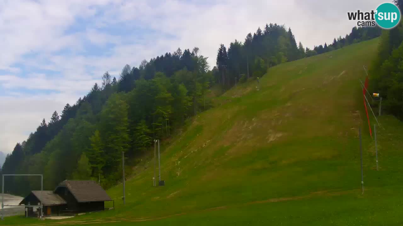 Podkoren / Kranjska Gora – Cilj veleslaloma svjetskog kupa