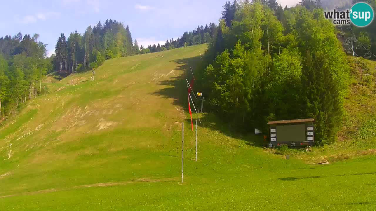 Podkoren / Kranjska Gora –  Meta Slalom gigante