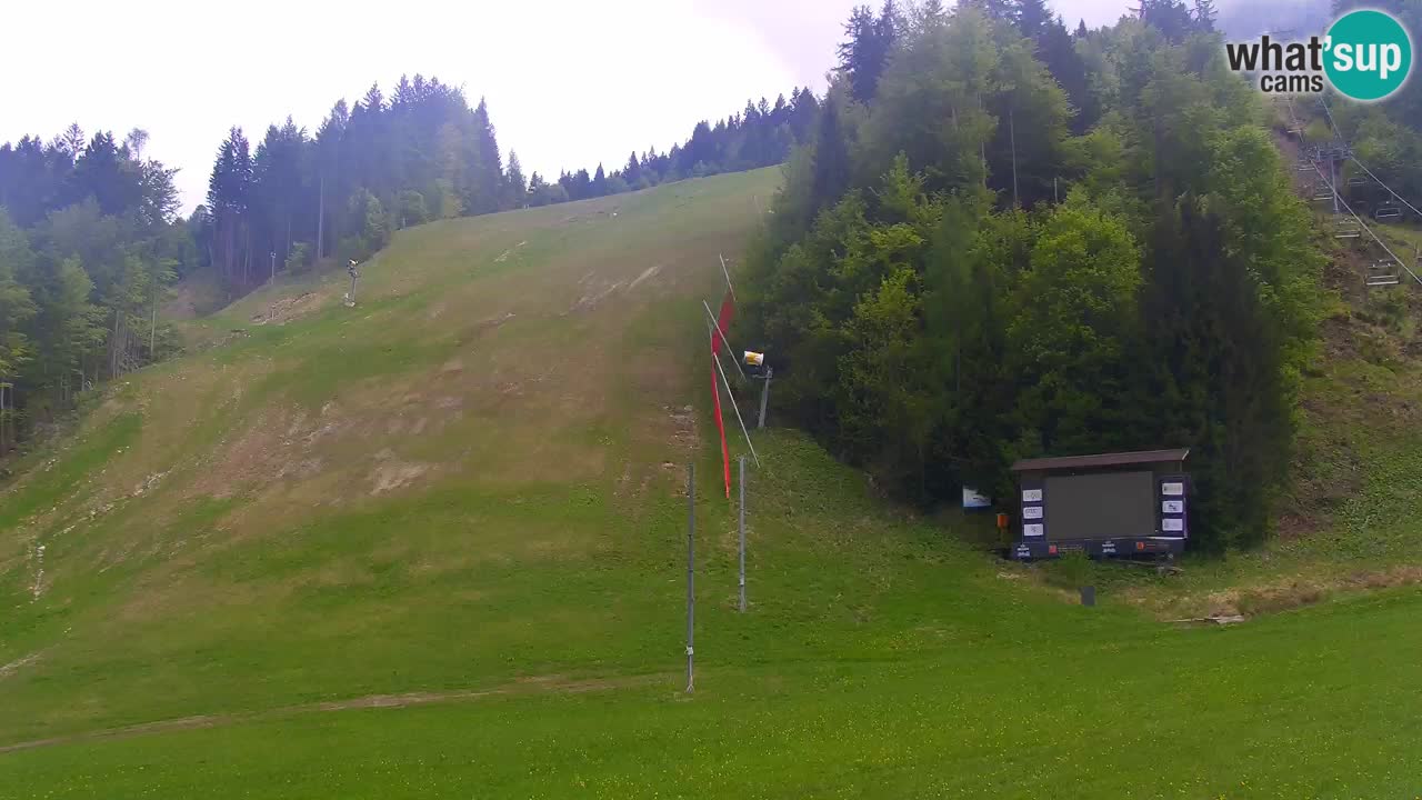 Podkoren Webcam Kranjska Gora | Finish of Giant slalom