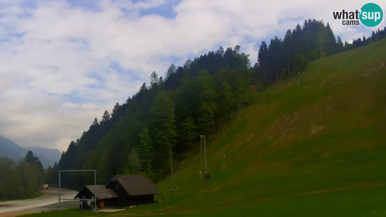 Podkoren / Kranjska Gora –  Meta Slalom gigante
