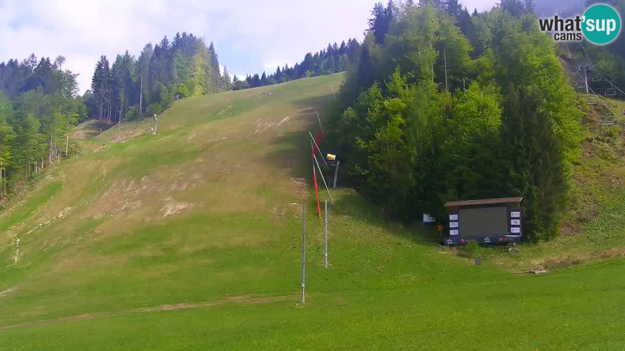Podkoren / Kranjska Gora – Arrivee slalom géant
