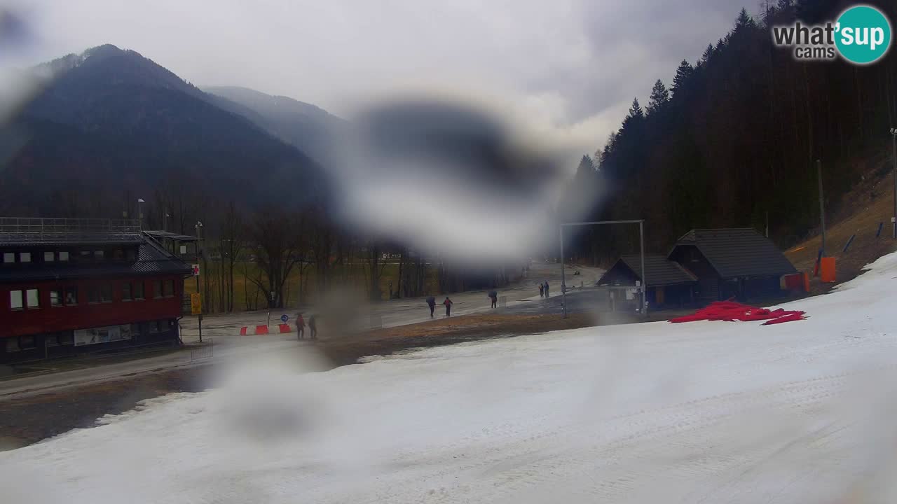 PODKOREN Kamera | Smučišče Podkoren – Kranjska Gora v ŽIVO