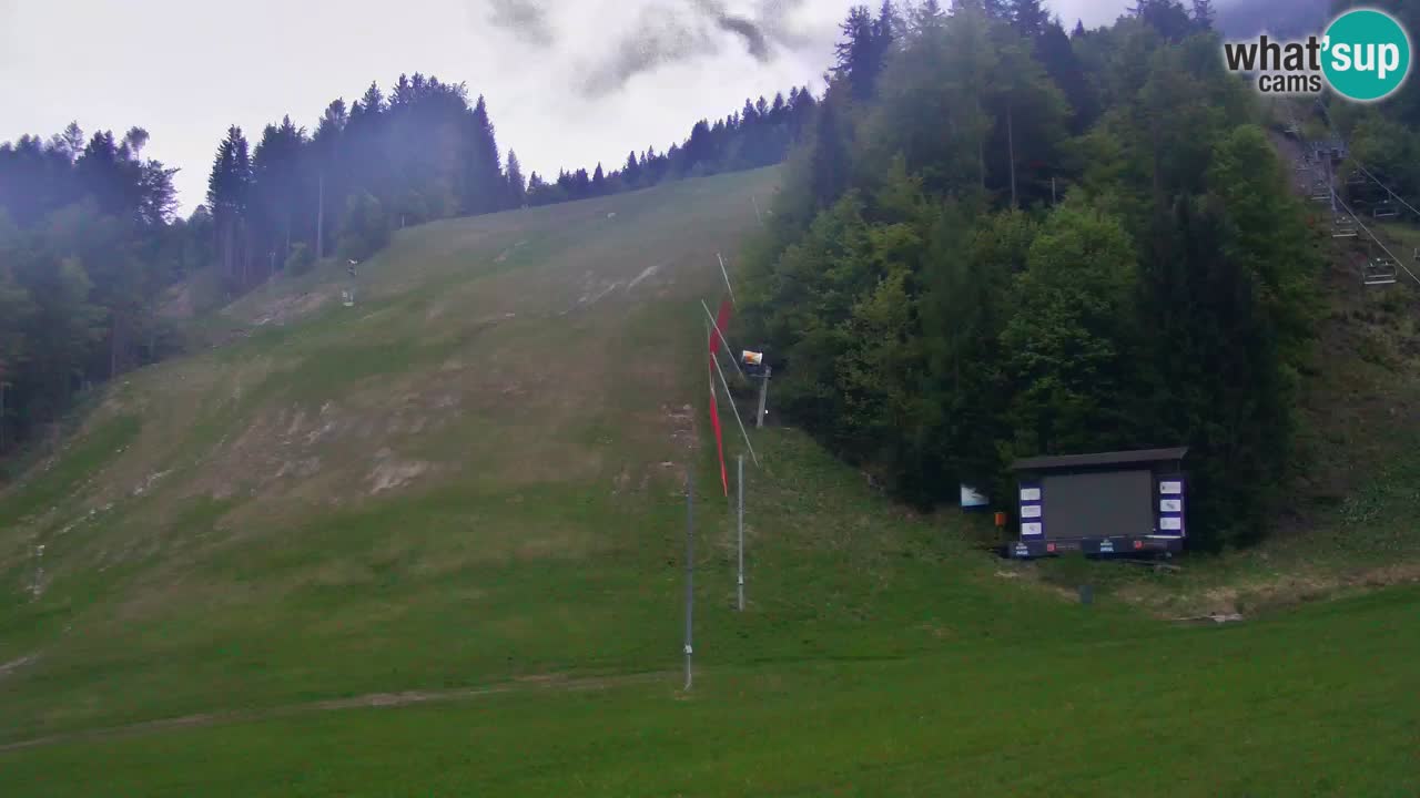 Podkoren Webcam Kranjska Gora | Finish of Giant slalom
