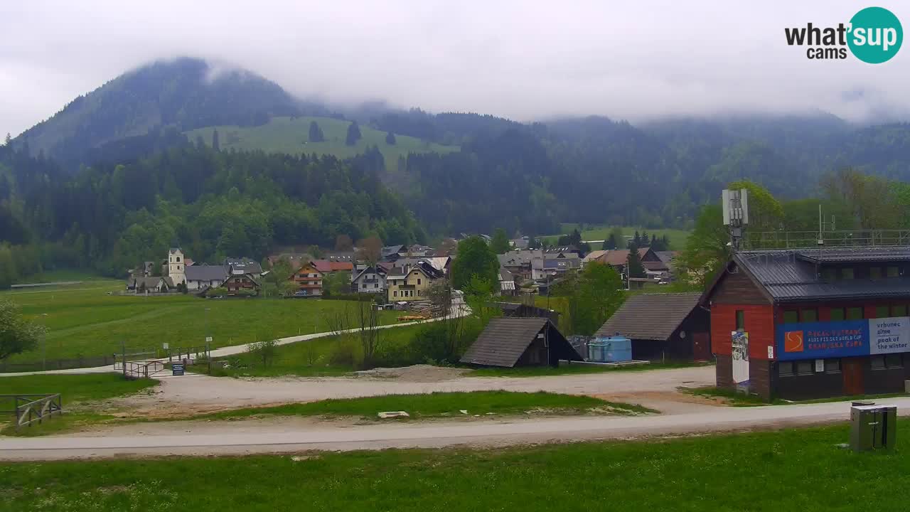 Podkoren Webcam Kranjska Gora | Finish of Giant slalom