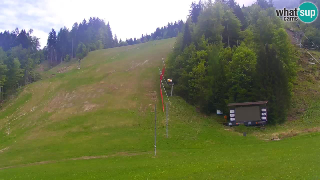 Podkoren Webcam Kranjska Gora | Finish of Giant slalom