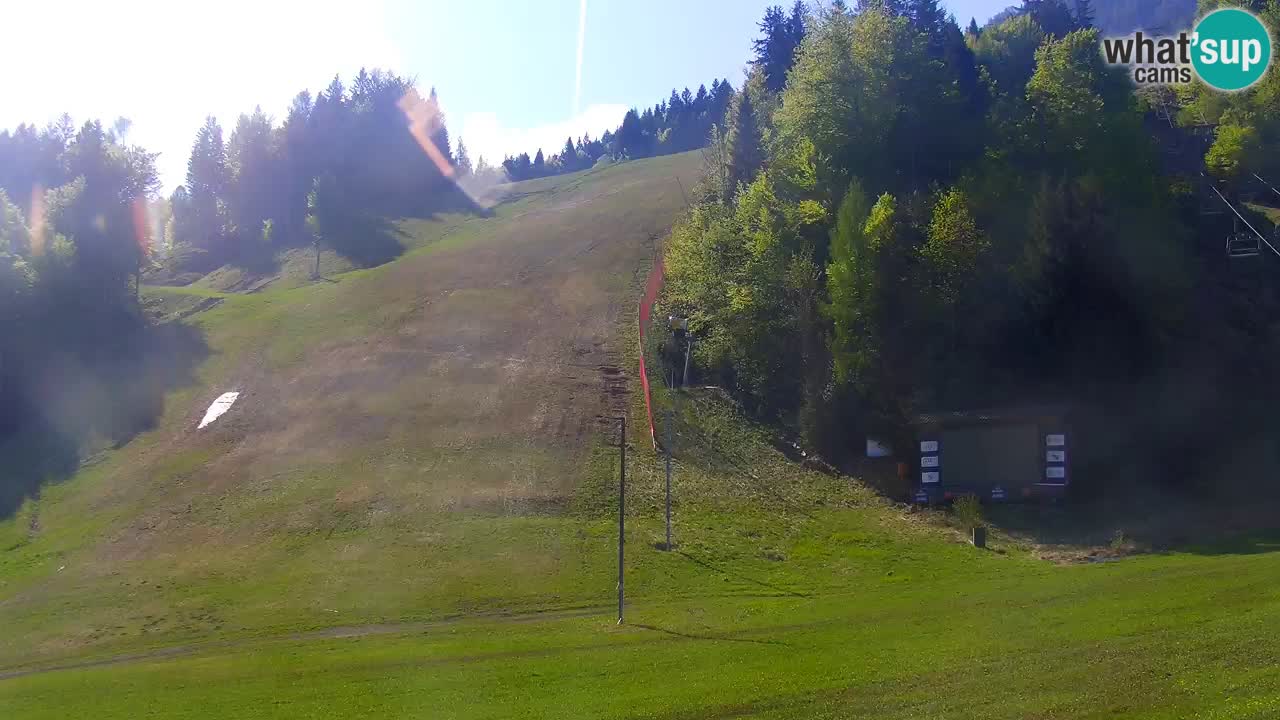 Podkoren Webcam Kranjska Gora | Finish of Giant slalom