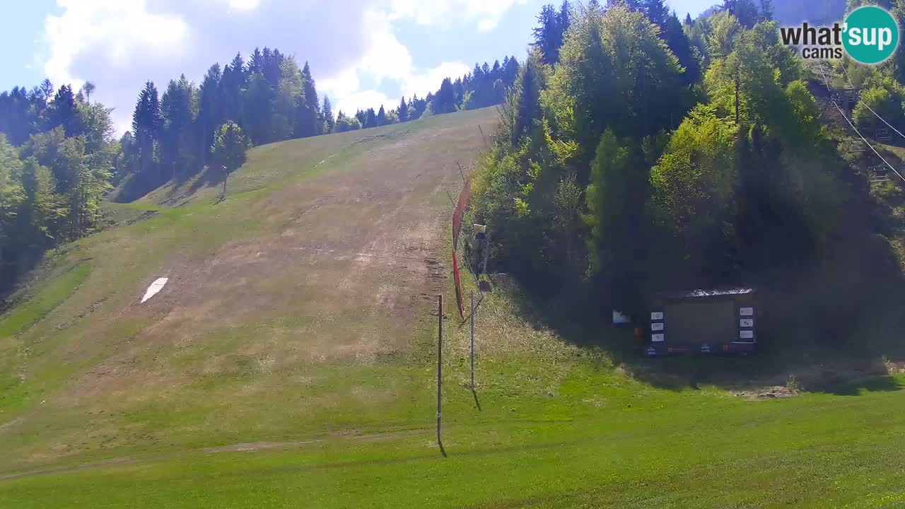 PODKOREN Kamera | Smučišče Podkoren – Kranjska Gora v ŽIVO