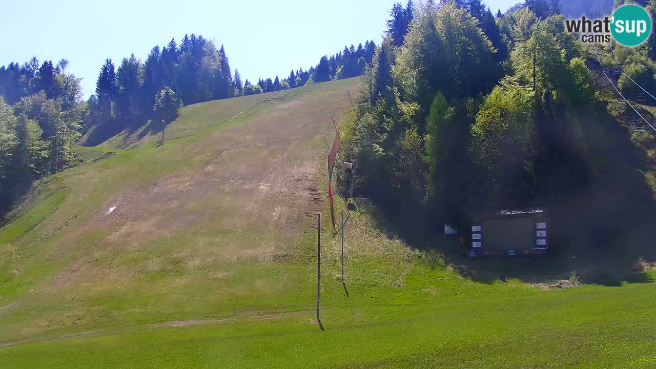 Podkoren Webcam Kranjska Gora | Finish of Giant slalom