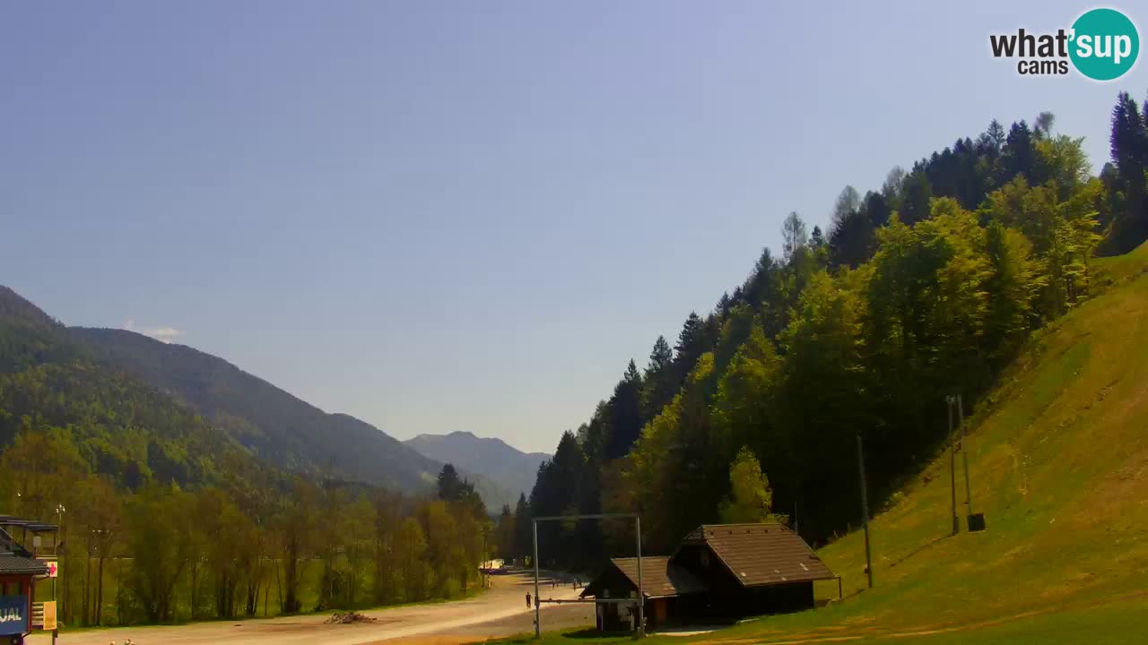 Podkoren / Kranjska Gora – Arrivo slalom gigante