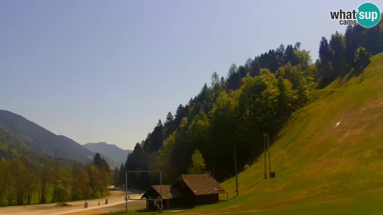 Podkoren / Kranjska Gora – Arrivo slalom gigante