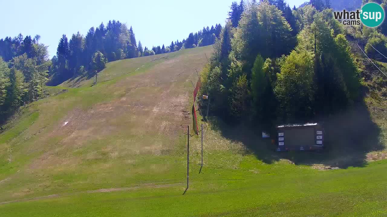 Podkoren slalom géant | Start – Kranjska Gora