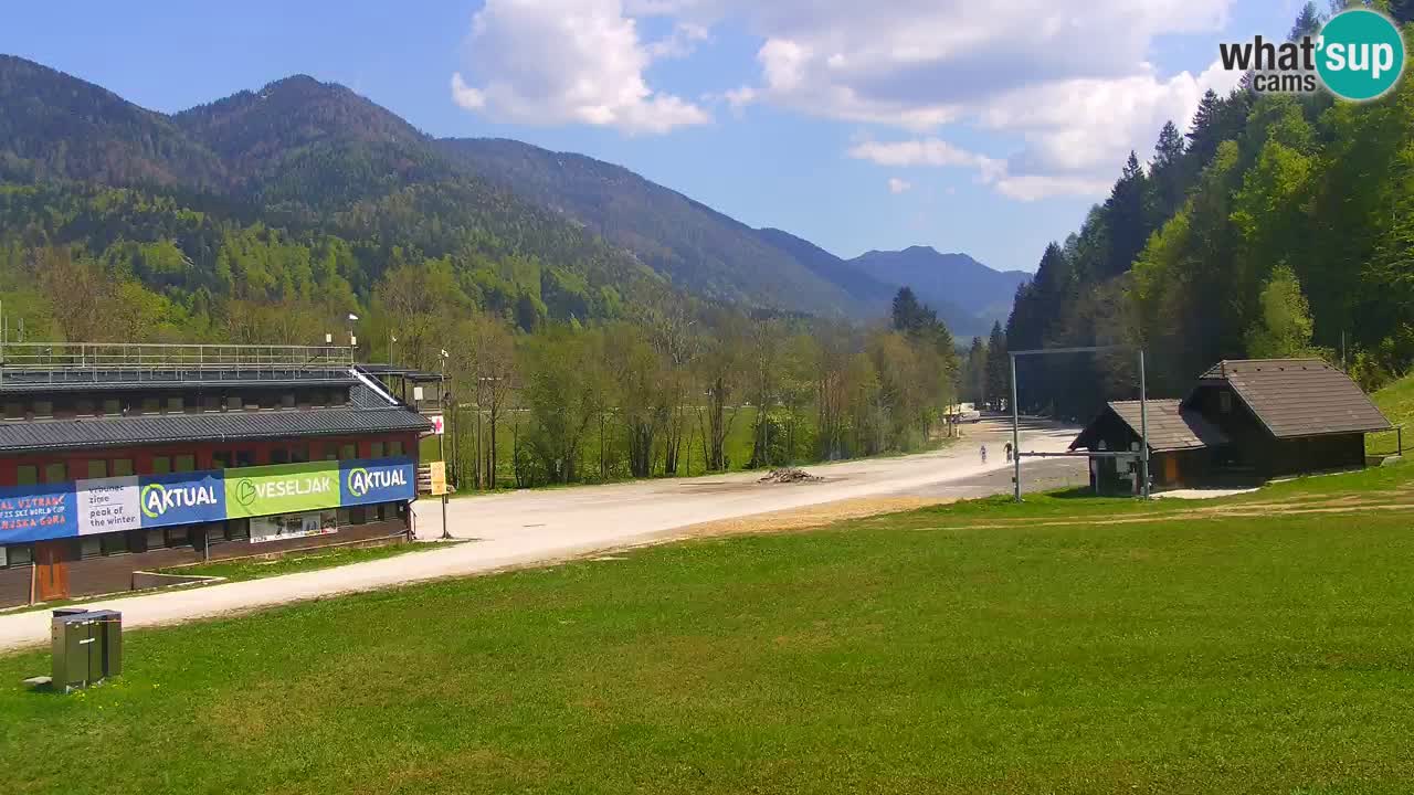 Podkoren Webcam Kranjska Gora | Finish of Giant slalom