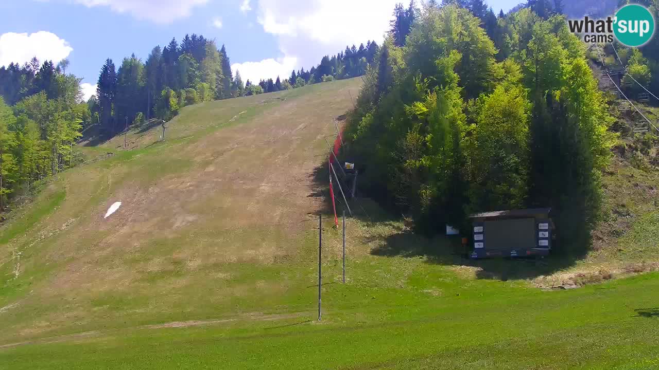 Podkoren Webcam Kranjska Gora | Finish of Giant slalom