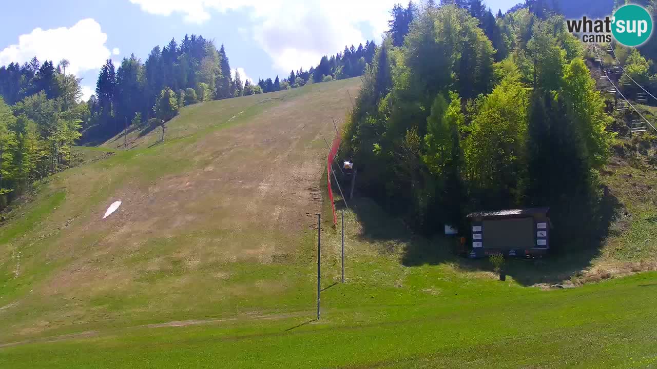 Podkoren Webcam Kranjska Gora | Finish of Giant slalom