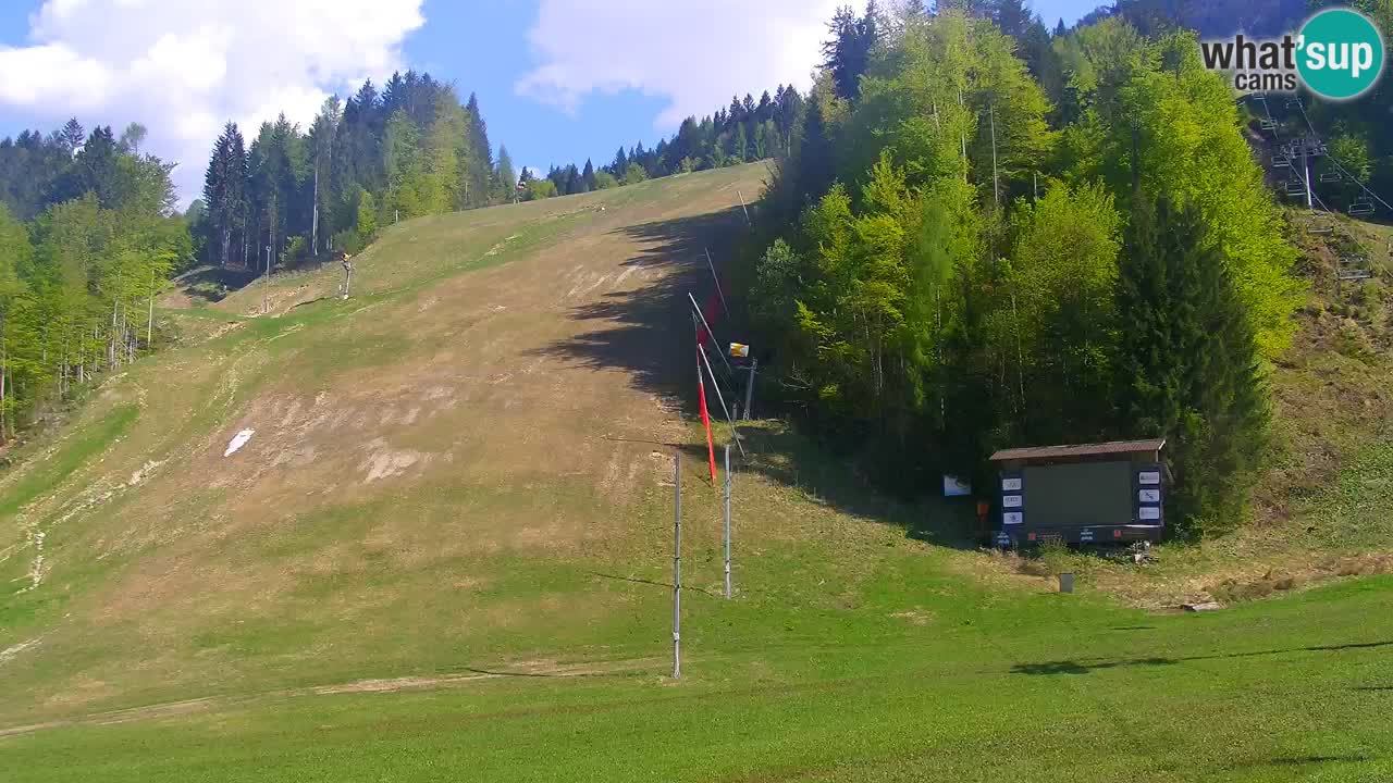 Podkoren / Kranjska Gora – Arrivo slalom gigante