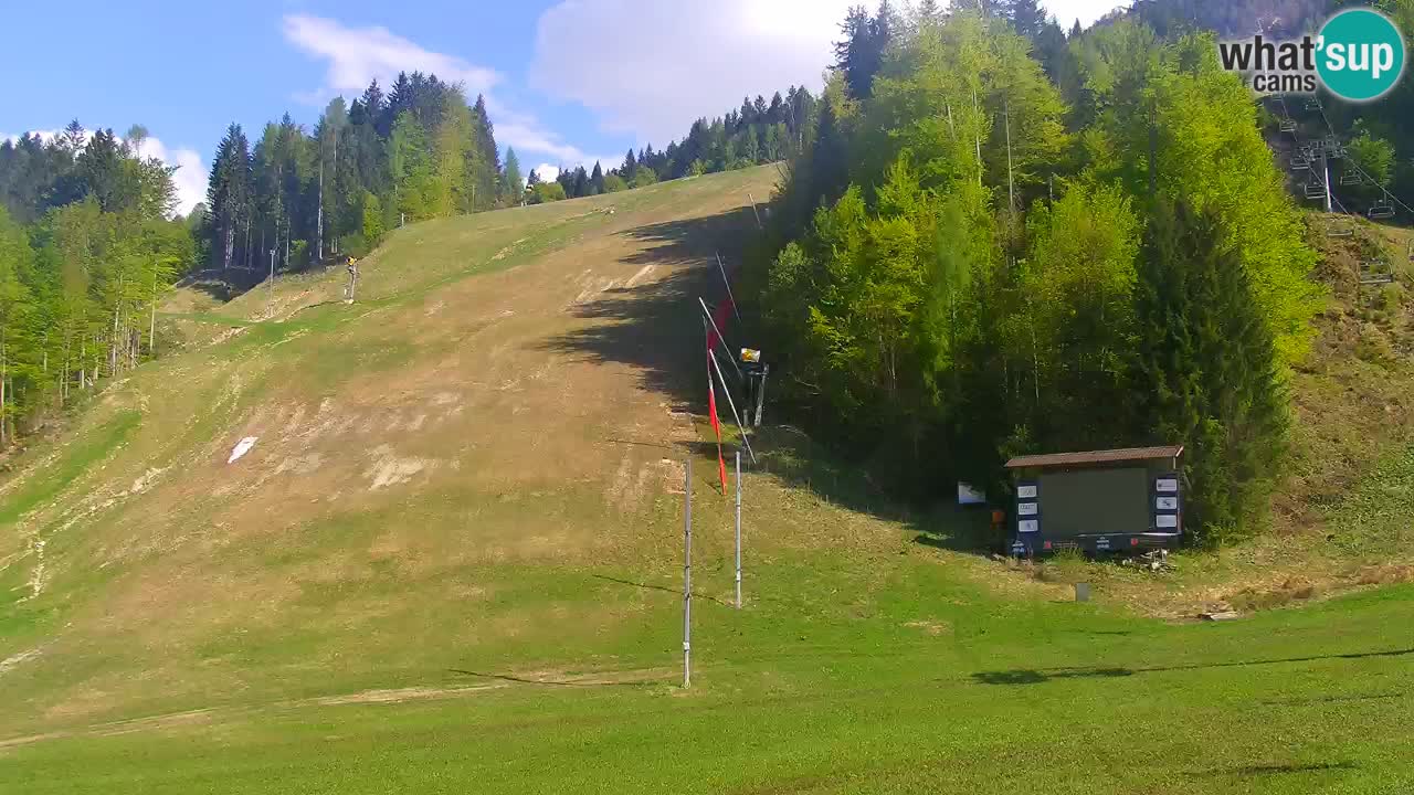 Podkoren / Kranjska Gora – Arrivee slalom géant